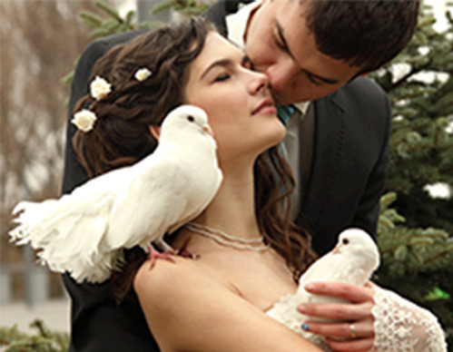 bride and groom with birds